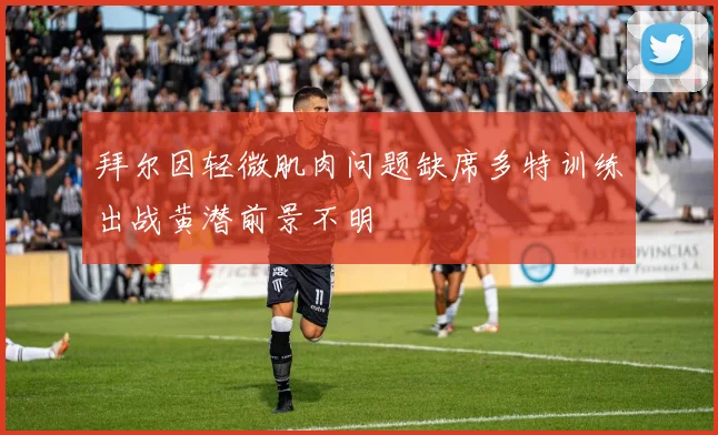 拜尔因轻微肌肉问题缺席多特训练出战黄潜前景不明