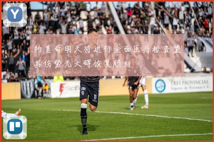 约基奇明天将进行全面医疗检查望其伤势无大碍恢复顺利